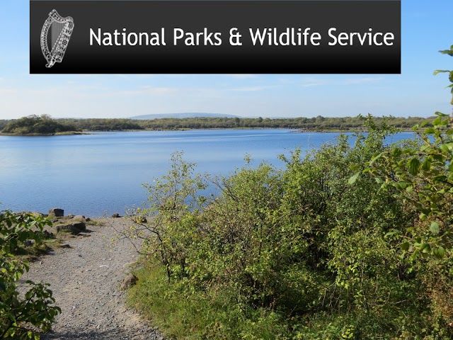 Coole Park Nature Reserve